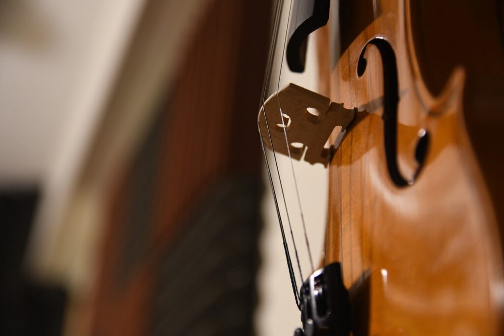 violin, viola, cello-5818267.jpg